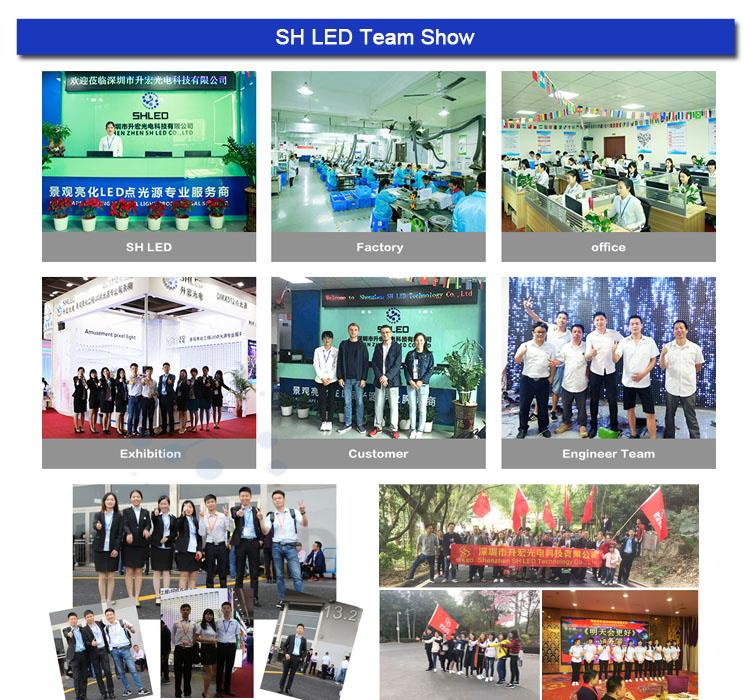 SH LED facade lighting